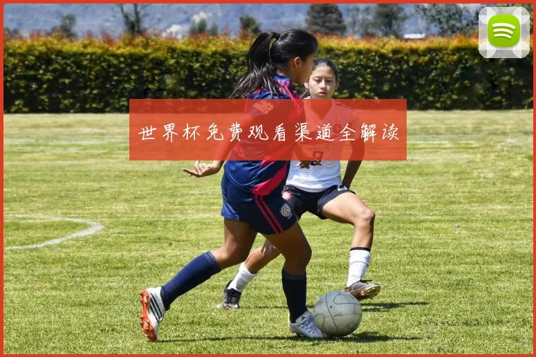 世界杯免费观看渠道全解读